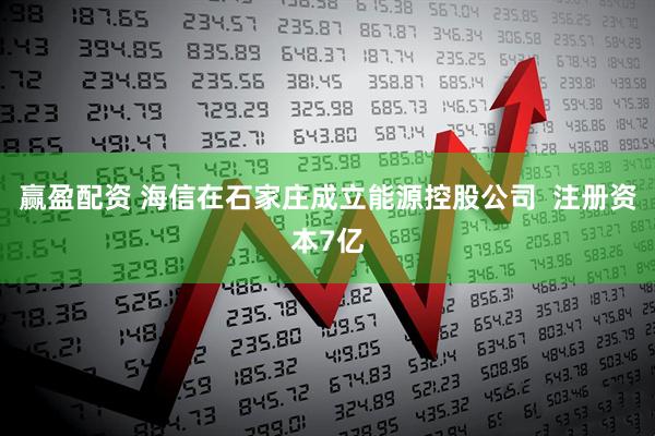 赢盈配资 海信在石家庄成立能源控股公司  注册资本7亿