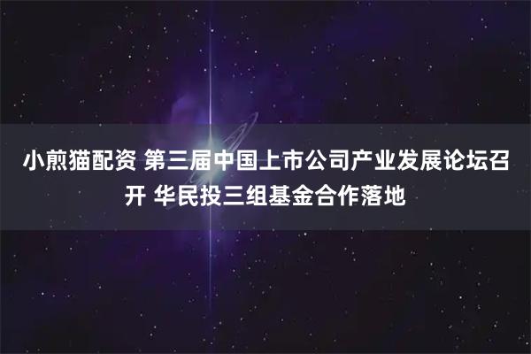 小煎猫配资 第三届中国上市公司产业发展论坛召开 华民投三组基金合作落地